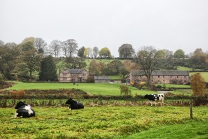 Wedding Photography in Leek 